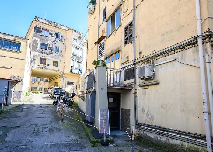 Pulcinella Home - Chic E Comfort In Central